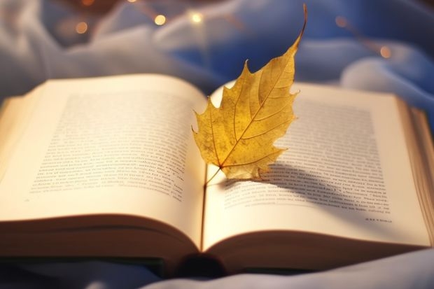 本科学校专科批什么意思