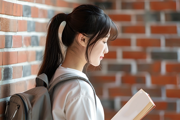 西安翻译学院是本科还是专科(体育大学录取分数线)
