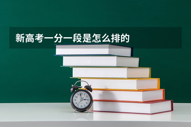 新高考一分一段是怎么排的