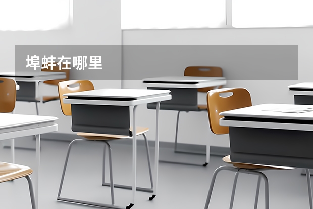 埠蚌在哪里