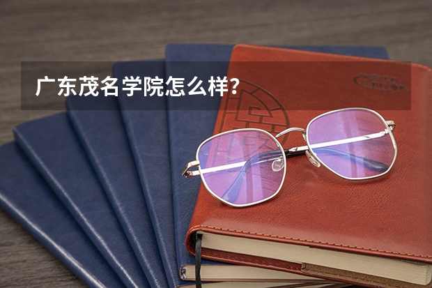 广东茂名学院怎么样？