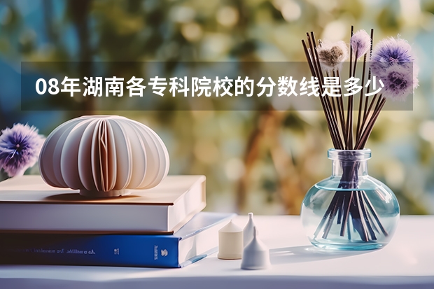 08年湖南各专科院校的分数线是多少?