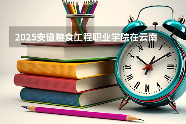 2025安徽粮食工程职业学院在云南招生计划 招生人数预测