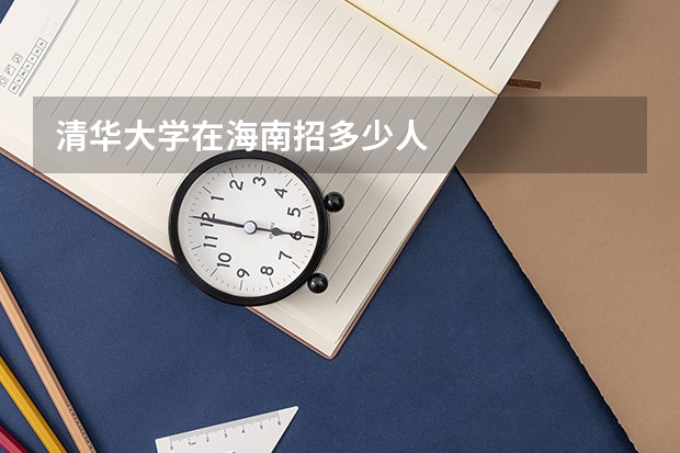 清华大学在海南招多少人