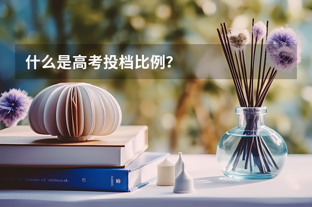 什么是高考投档比例？