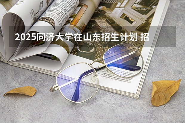 2025同济大学在山东招生计划 招生人数