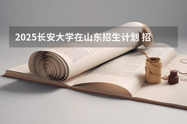 2025长安大学在山东招生计划 招生人数