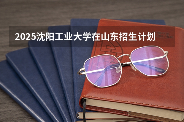 2025沈阳工业大学在山东招生计划 招生人数