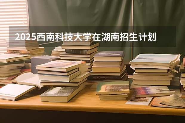 2025西南科技大学在湖南招生计划 招生人数