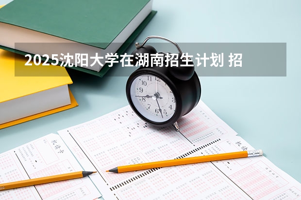 2025沈阳大学在湖南招生计划 招生人数