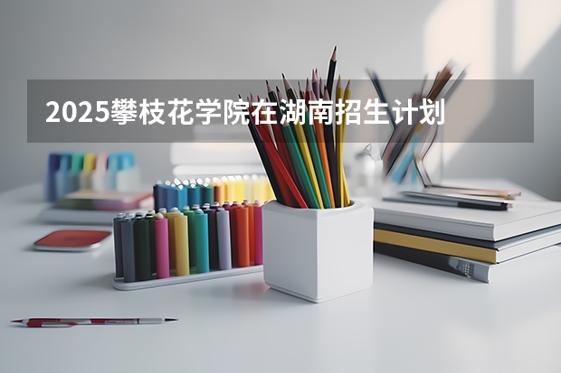 2025攀枝花学院在湖南招生计划 招生人数