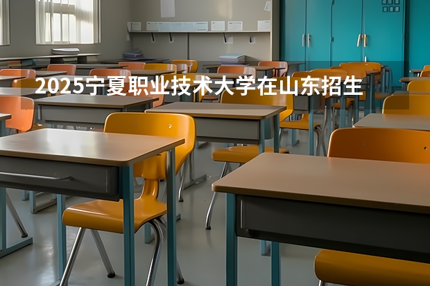 2025宁夏职业技术大学在山东招生计划 招生人数