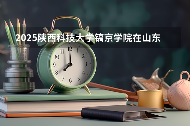 2025陕西科技大学镐京学院在山东招生计划 招生人数