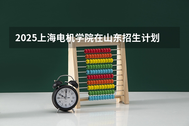 2025上海电机学院在山东招生计划 招生人数