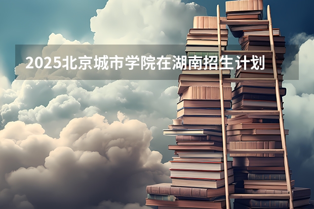 2025北京城市学院在湖南招生计划 招生人数