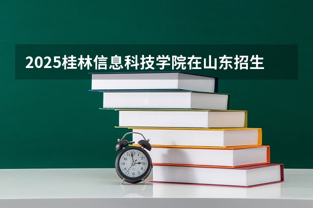 2025桂林信息科技学院在山东招生计划 招生人数