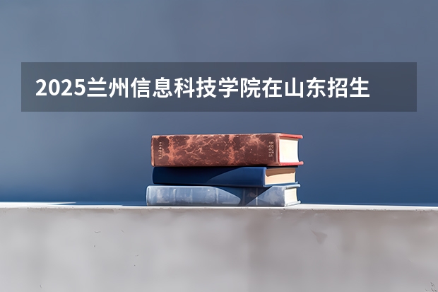 2025兰州信息科技学院在山东招生计划 招生人数