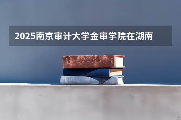 2025南京审计大学金审学院在湖南招生计划 招生人数
