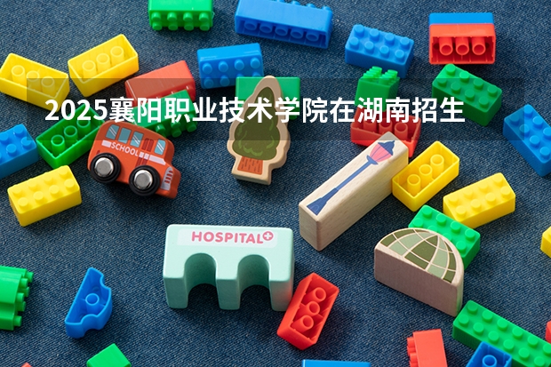 2025襄阳职业技术学院在湖南招生计划 招生人数