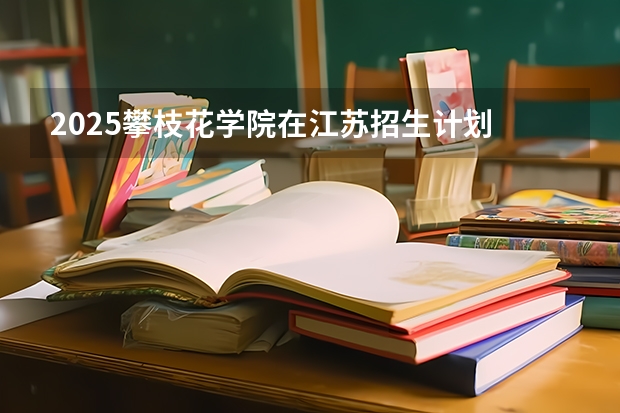 2025攀枝花学院在江苏招生计划 招生人数