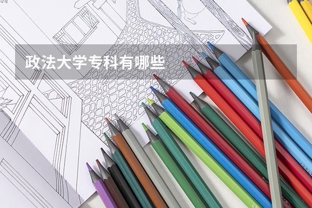 政法大学专科有哪些