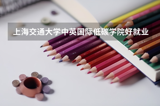 上海交通大学中英国际低碳学院好就业吗