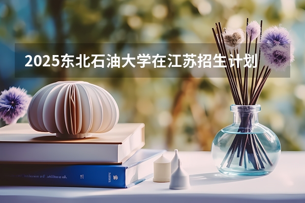 2025东北石油大学在江苏招生计划 招生人数
