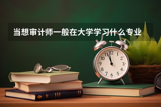 当想审计师一般在大学学习什么专业