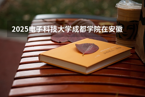 2025电子科技大学成都学院在安徽招生计划 招生人数
