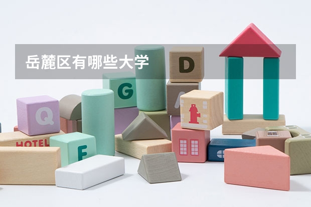 岳麓区有哪些大学