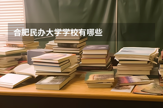 合肥民办大学学校有哪些