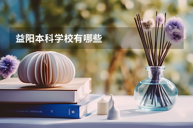 益阳本科学校有哪些