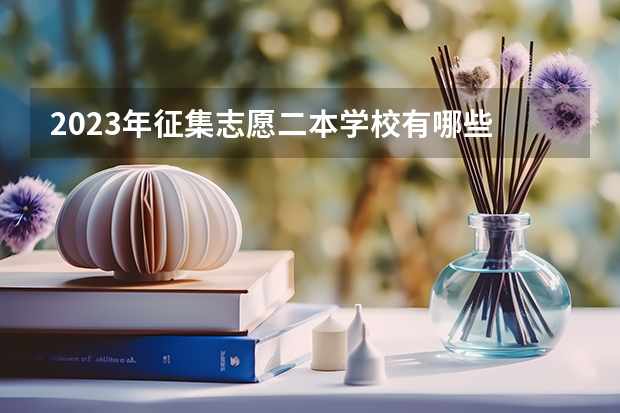 2023年征集志愿二本学校有哪些