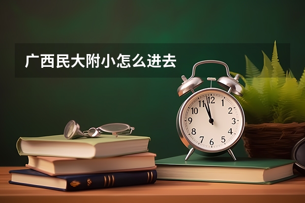广西民大附小怎么进去
