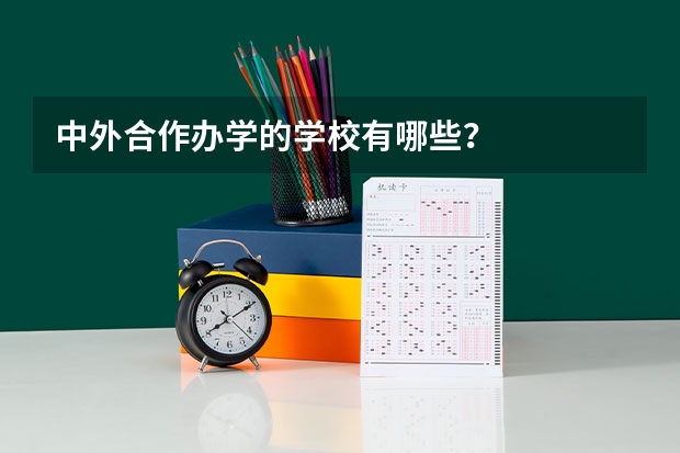 中外合作办学的学校有哪些？