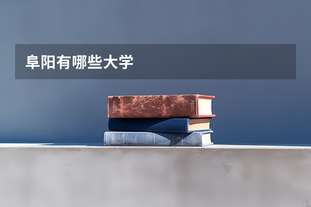 阜阳有哪些大学