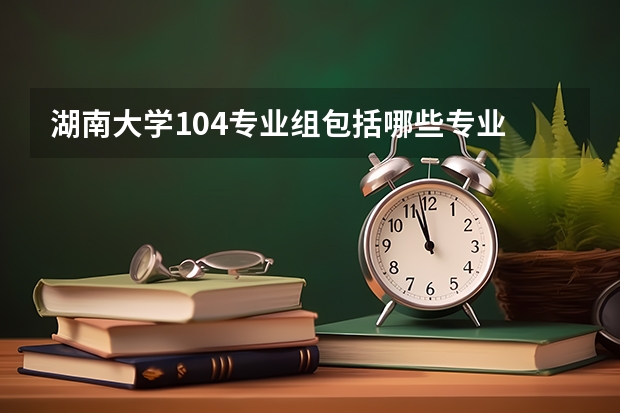 湖南大学104专业组包括哪些专业