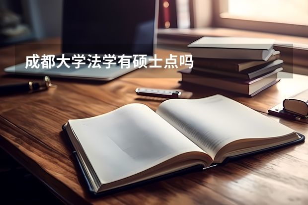 成都大学法学有硕士点吗