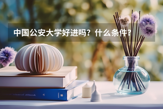 中国公安大学好进吗?什么条件?