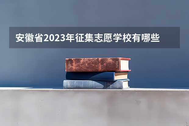 安徽省2023年征集志愿学校有哪些