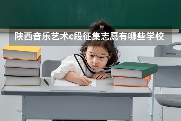 陕西音乐艺术c段征集志愿有哪些学校