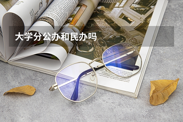 大学分公办和民办吗
