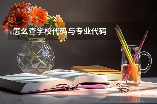 怎么查学校代码与专业代码