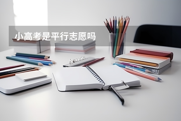 小高考是平行志愿吗
