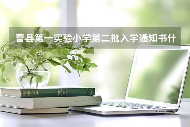 曹县第一实验小学第二批入学通知书什么时候发