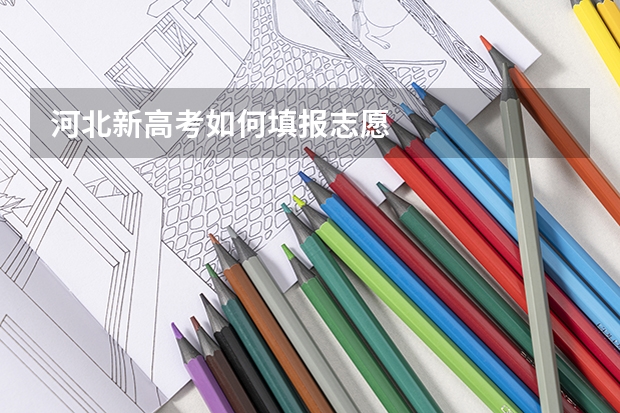 河北新高考如何填报志愿