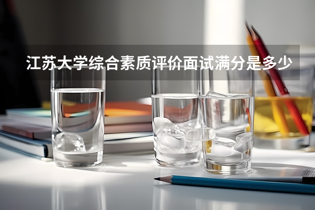 江苏大学综合素质评价面试满分是多少