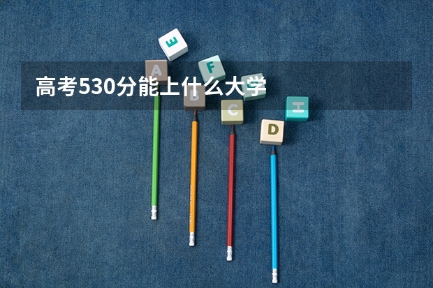高考530分能上什么大学