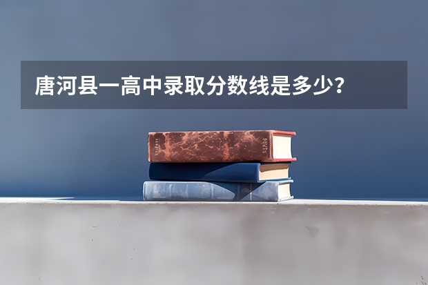 唐河县一高中录取分数线是多少？