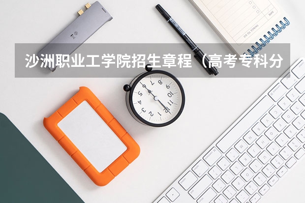 沙洲职业工学院招生章程（高考专科分数线）